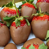 Close up of chocolate covered strawberries