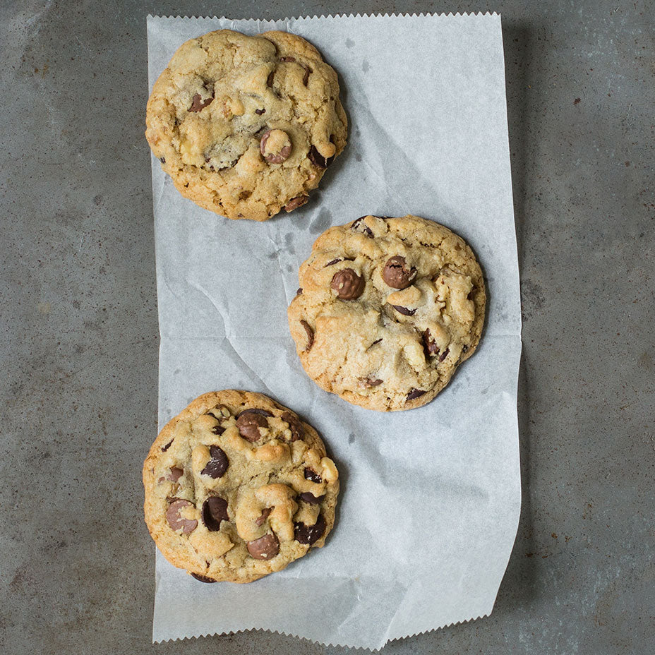 Three chocolate chip walnut cookies on parchment paper and a concrete countertop